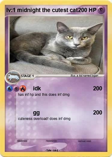 Pokemon lv:1 midnight the cutest cat
