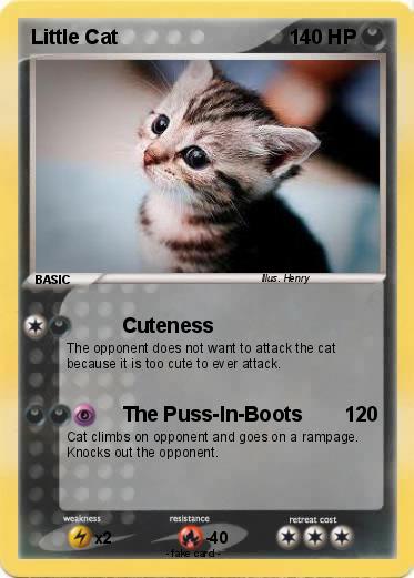 Pokemon Little Cat