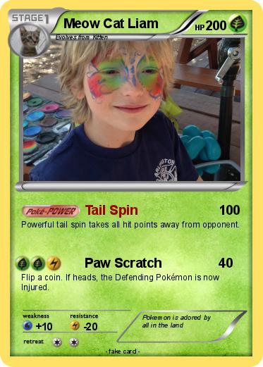Pokemon Meow Cat Liam