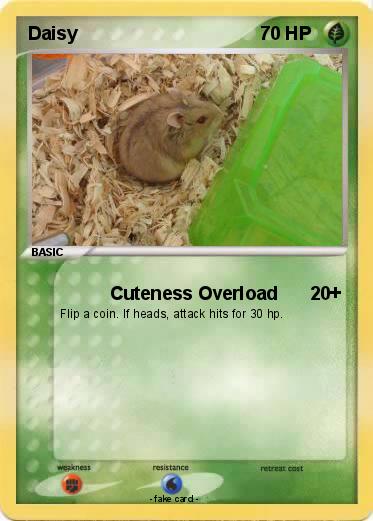 Pokemon Daisy