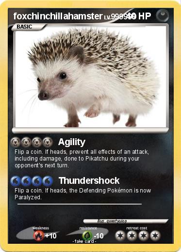 Pokemon foxchinchillahamster