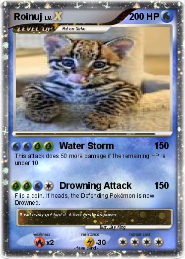Pokemon Roinuj