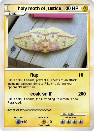 Pokemon holy moth of justice