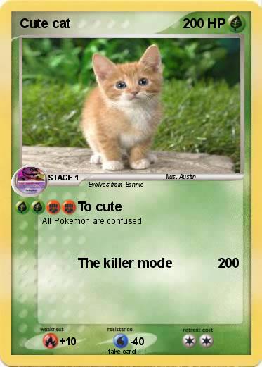 Pokemon Cute cat