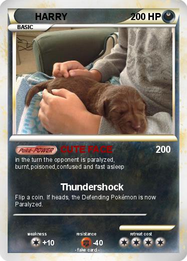Pokemon HARRY