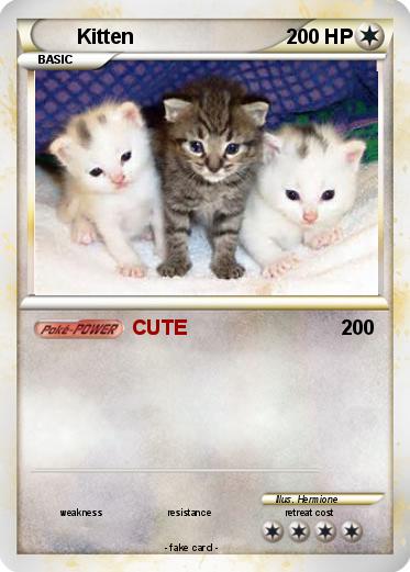 Pokemon Kitten