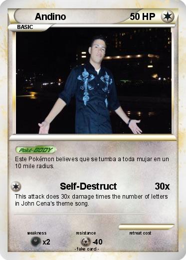 Pokemon Andino