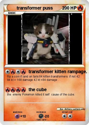Pokemon transformer puss