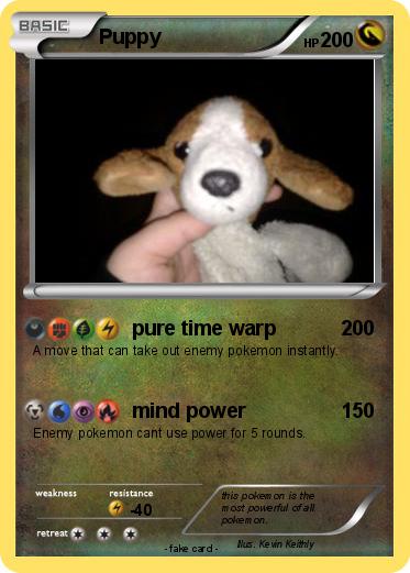 Pokemon Puppy