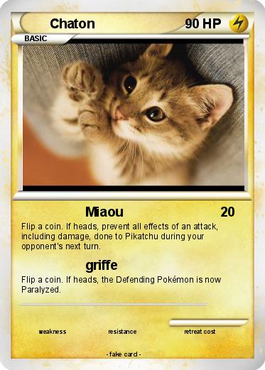 Pokemon Chaton