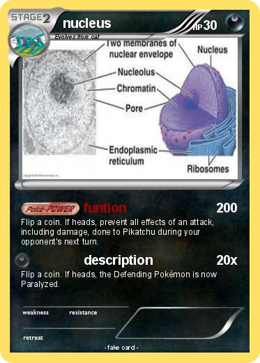 Pokemon nucleus