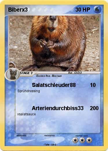 Pokemon Biberx3
