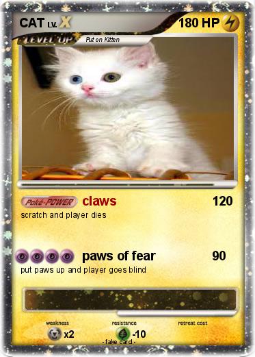 Pokemon CAT