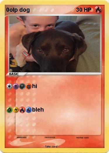 Pokemon 0olp dog