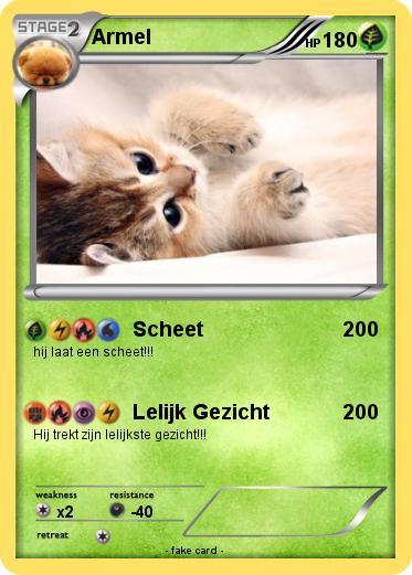 Pokemon Armel