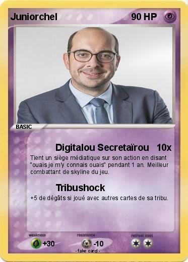 Pokemon Juniorchel