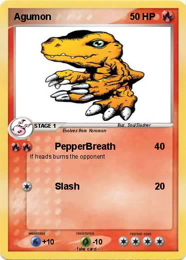 Pokemon Agumon