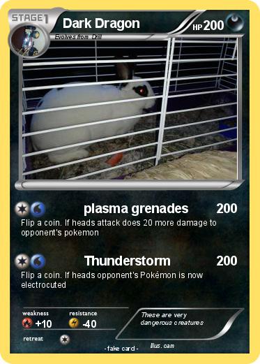 Pokemon Dark Dragon