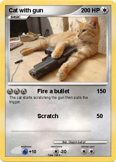 Pokemon Cat with gun