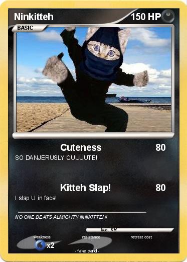 Pokemon Ninkitteh