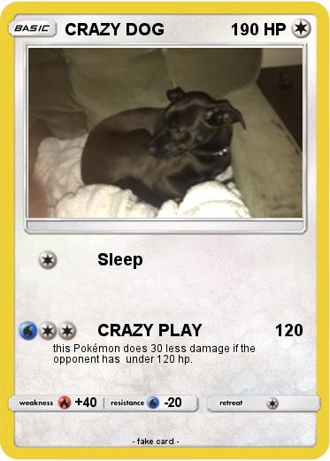 Pokemon CRAZY DOG