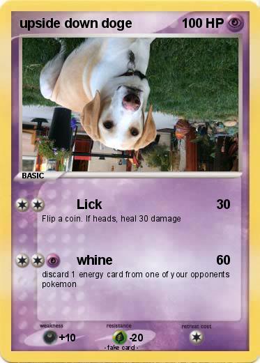 Pokemon upside down doge