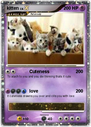 Pokemon kitten
