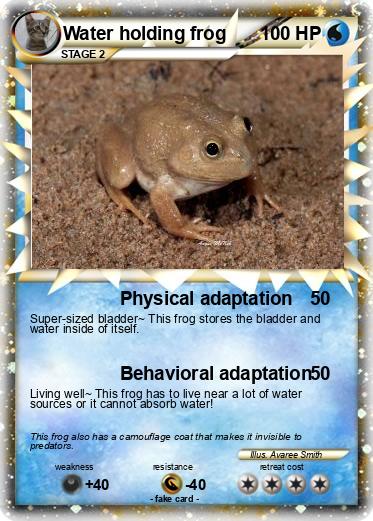 Pokemon Water holding frog