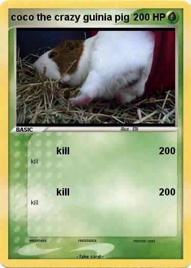Pokemon coco the crazy guinia pig