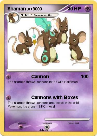 Pokemon Shaman