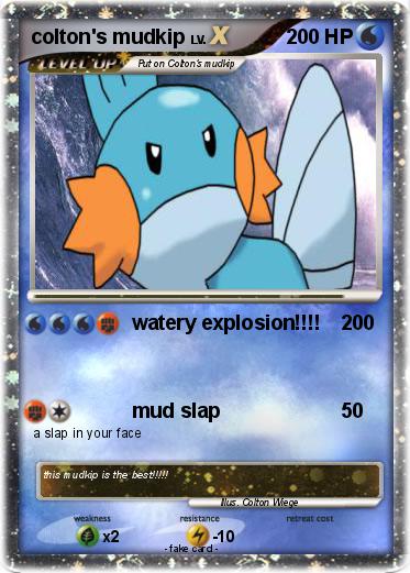 Pokemon colton's mudkip