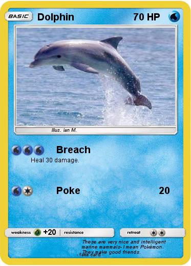 Pokemon Dolphin