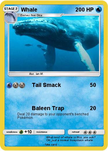 Pokemon Whale