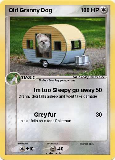 Pokemon Old Granny Dog