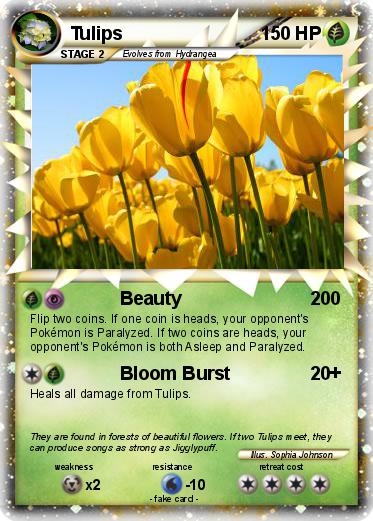 Pokemon Tulips