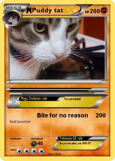 Pokemon Puddy tat