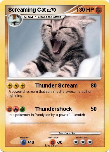 Pokemon Screaming Cat