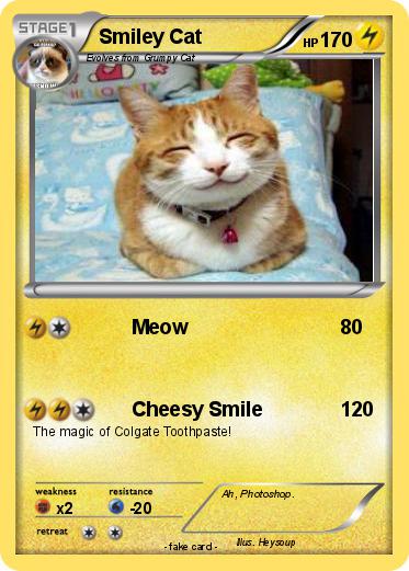 Pokemon Smiley Cat