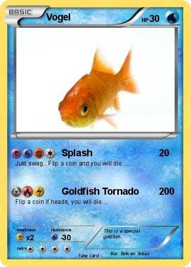 Pokemon Vogel