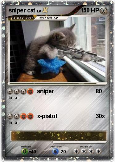 Pokemon sniper cat