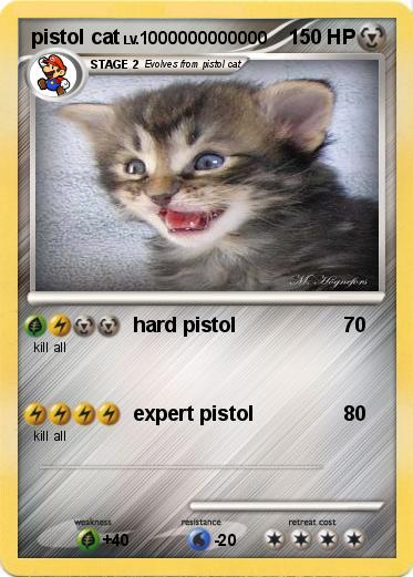 Pokemon pistol cat