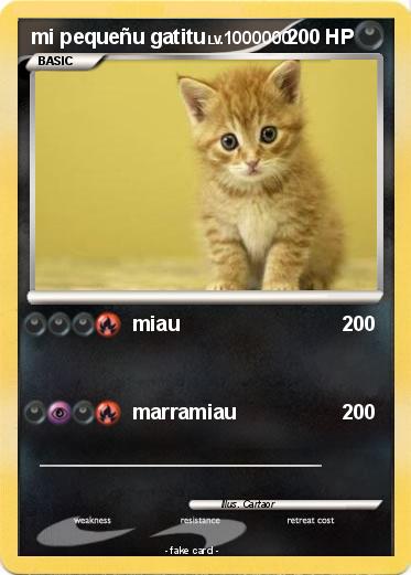 Pokemon mi pequeñu gatitu