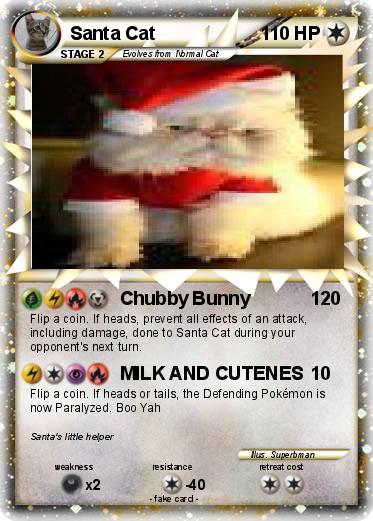 Pokemon Santa Cat