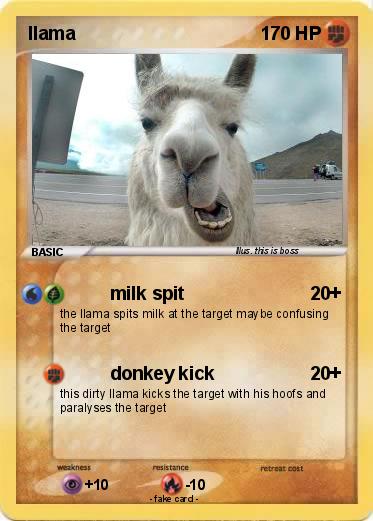Pokemon llama