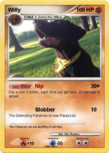 Pokemon Willy