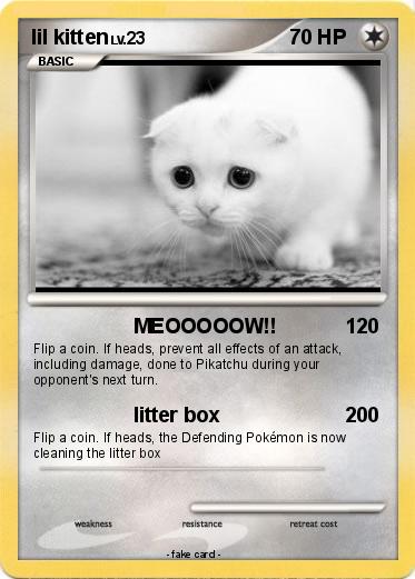 Pokemon lil kitten