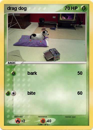Pokemon drag dog