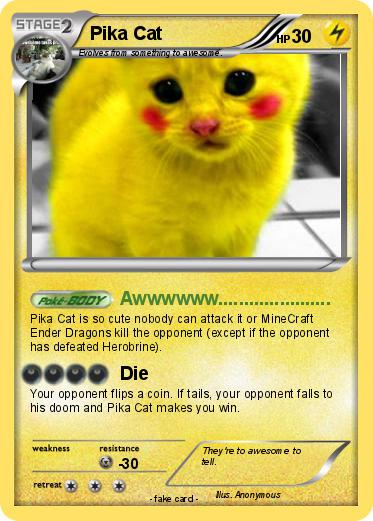 Pokemon Pika Cat