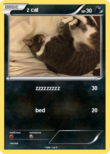 Pokemon z cat