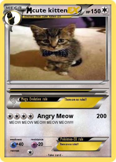 Pokemon cute kitten